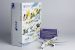 ng_models_73037_boeing_777_300er_ana_all_nippon_airways_pokemon_livery_ja784a_x84_199466_7
