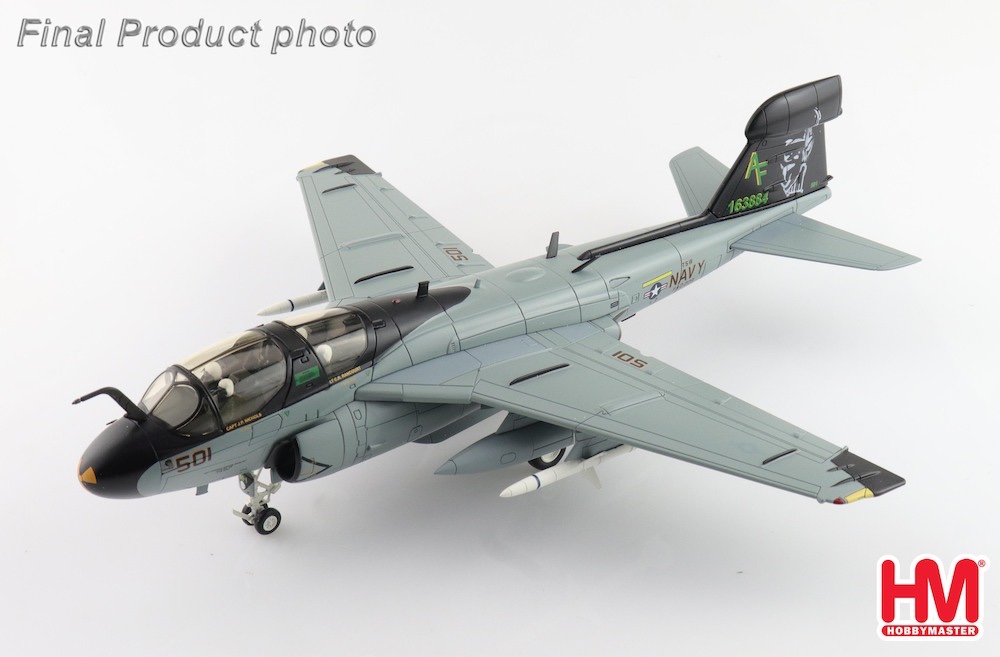 EA6B Prowler US Navy 163884/501, VAQ-209, 2010
